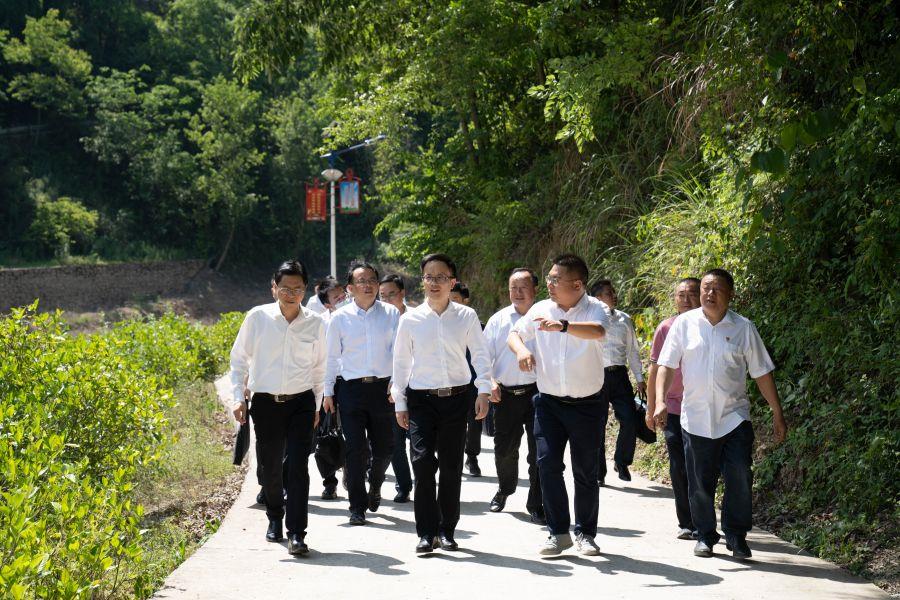 朱承軍赴高橋村考察調研扶貧工作（楊海青 攝）